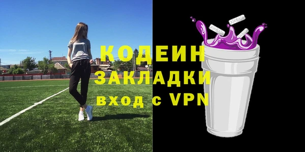 СК Пересвет