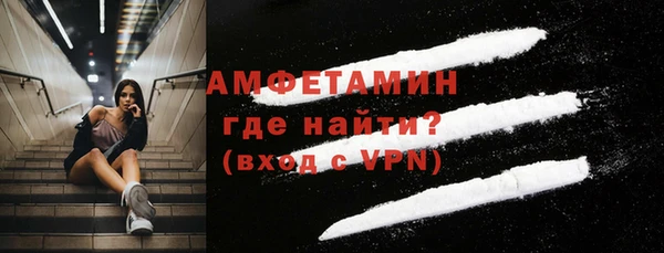 молекула духа Пестово