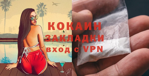 молекула духа Пестово