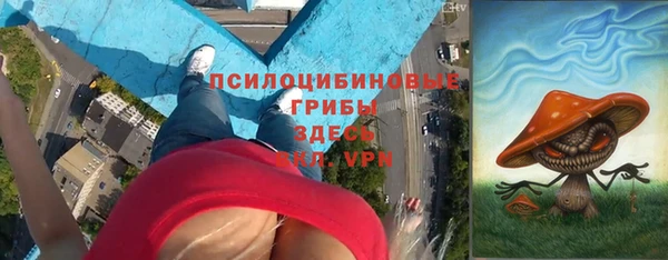круглые Абаза