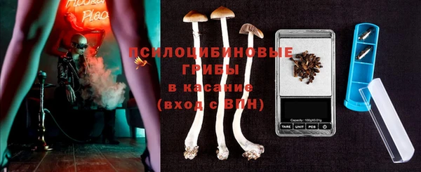 молекула духа Пестово